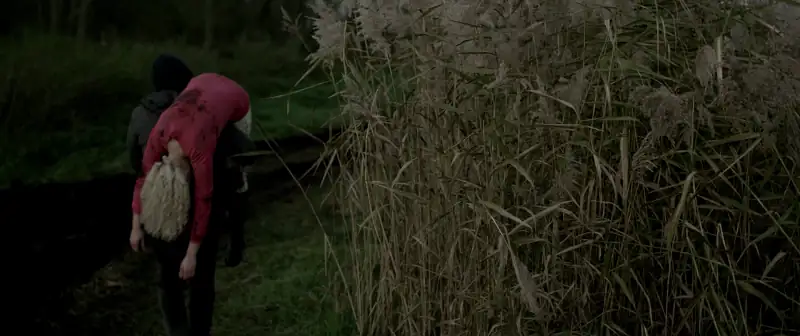 download the hatching (2014) dual audio {hindi-english} 480p [300mb] | 720p [900mb] | 1080p [2.7gb]