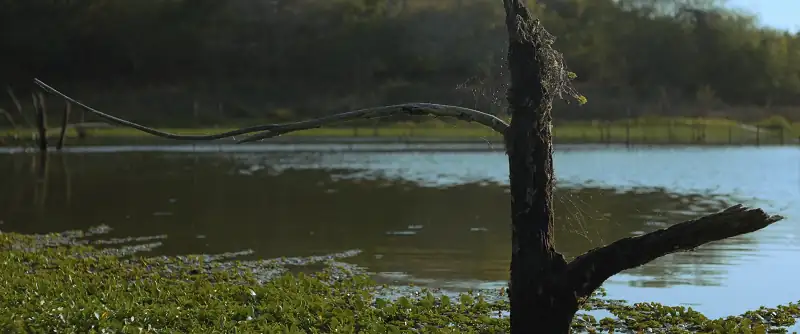 download echo 3 (2022) season 1 [hindi subtitles added] english web series 720p [250mb] hevc web-dl