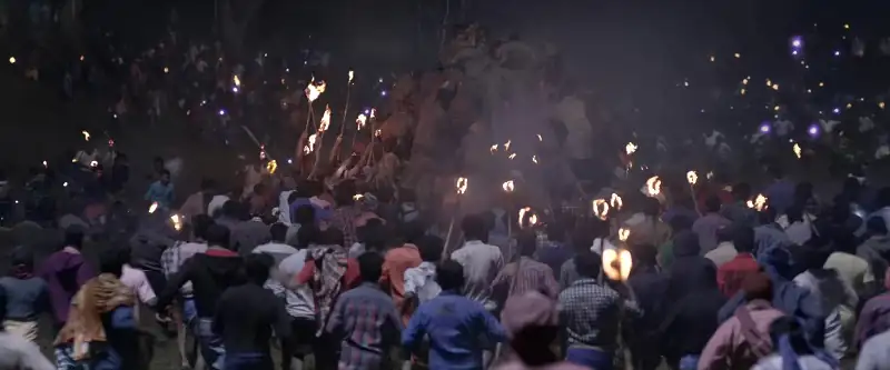 screenshot 7c5537 jallikattu 2022