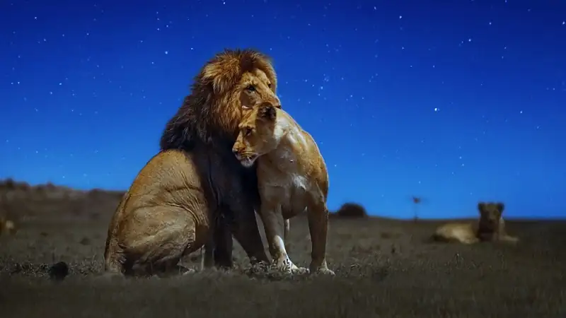 download earth at night in color (season 1 - 2) complete dual-audio {hindi-english} apple tv+ original 1080p | 720p web-dl