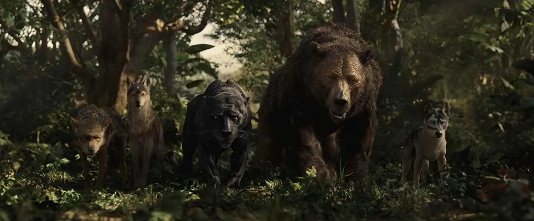 download mowgli: legend of the jungle (2018) dual audio {hindi-english} 480p [300mb] | 720p [1gb] | 1080p [3gb]