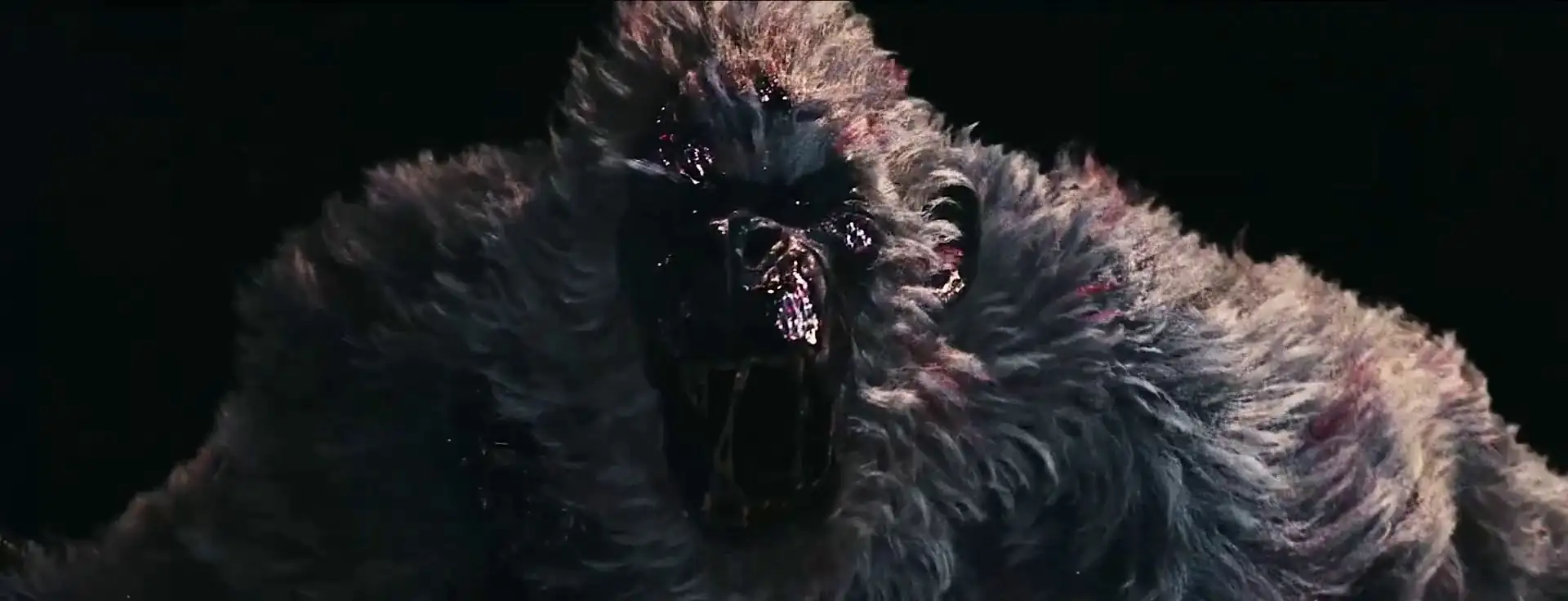 screenshot 7ebd3e anecdotes of ape mountain 2026