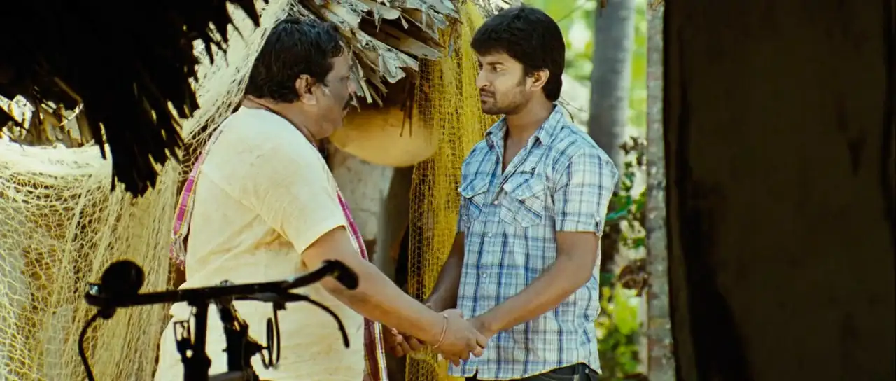 screenshot 7efcd0 pilla zamindar 2011