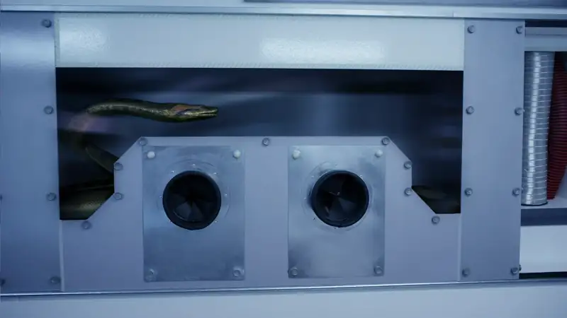 download lake placid vs. anaconda (2015) dual audio {hindi-english} 480p [300mb] | 720p [800mb] | 1080p [3gb]