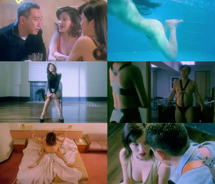 download [18+] evil instinct (1996) bluray hindi dubbed full movie 480p [300mb] | 720p [1gb]