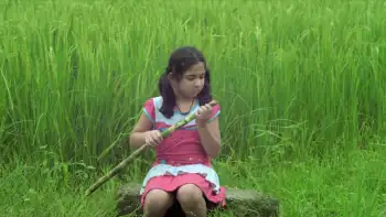 screenshot 80acb0 mahapaap 2022