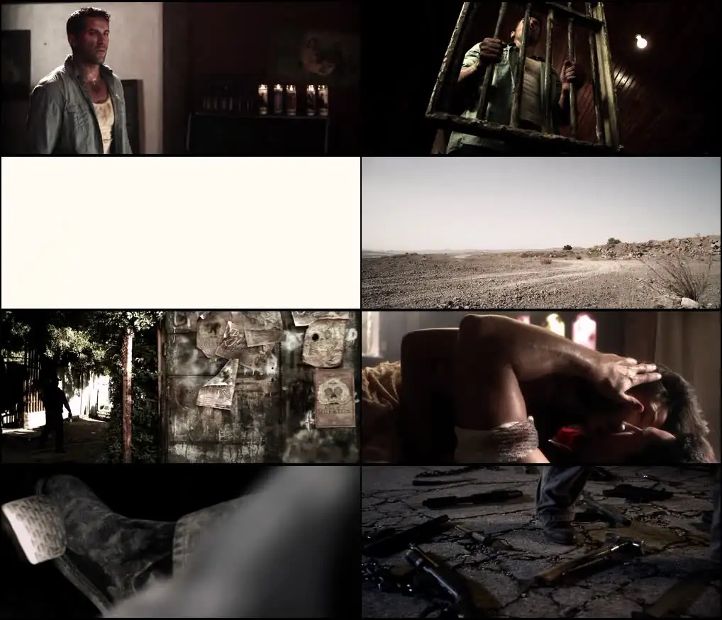 screenshot 855515 get the gringo 2012