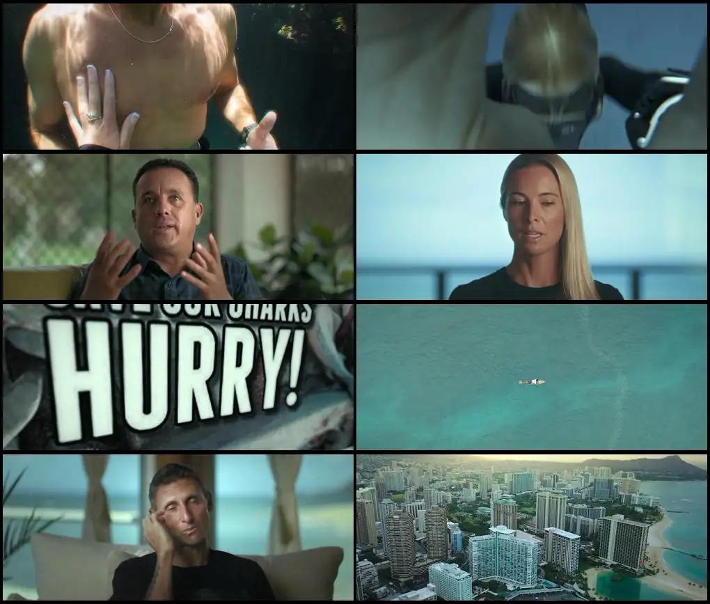 download shark whisperer (2025) web-dl nf dual audio {hindi-english} 480p [250mb] | 720p [970mb] | 1080p [1.9gb]