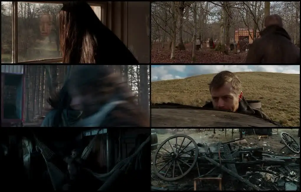 screenshot 890214 tornado 2025