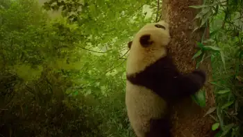 download earth: one amazing day (2017) dual audio {hindi-english} 480p [350mb] | 720p [950mb] | 1080p [2gb]