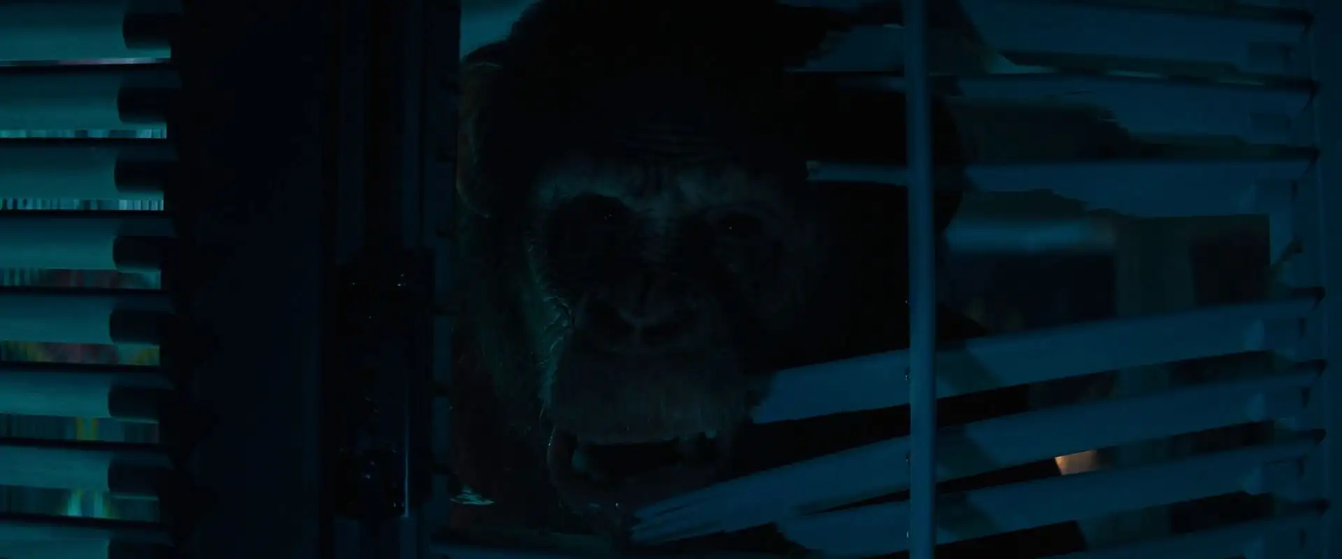 screenshot 8edcb6 primate 2025