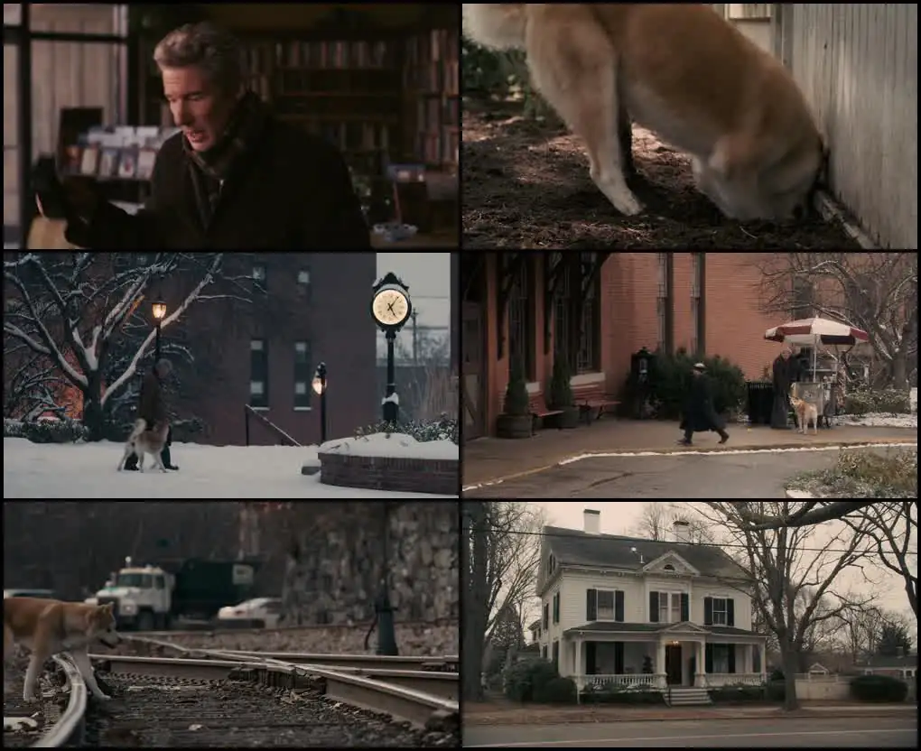 screenshot 8f9332 hachi a dog s tale 2009