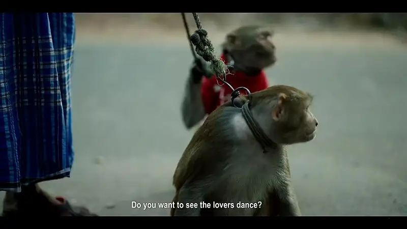 screenshot 8faceb laali 2022