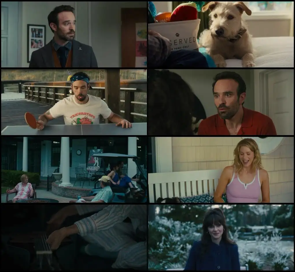 screenshot 8fd295 merv 2025