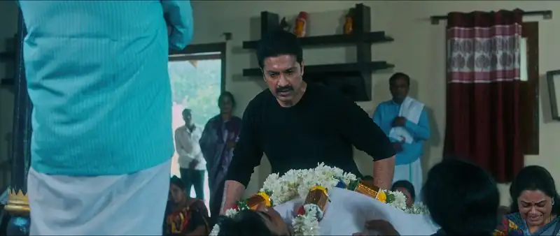 screenshot 904846 kangaroo 2024