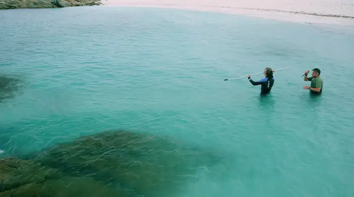 download 6 headed shark attack (2018) dual audio {hindi-english} 480p [300mb] | 720p [900mb] | 1080p [1.6gb]