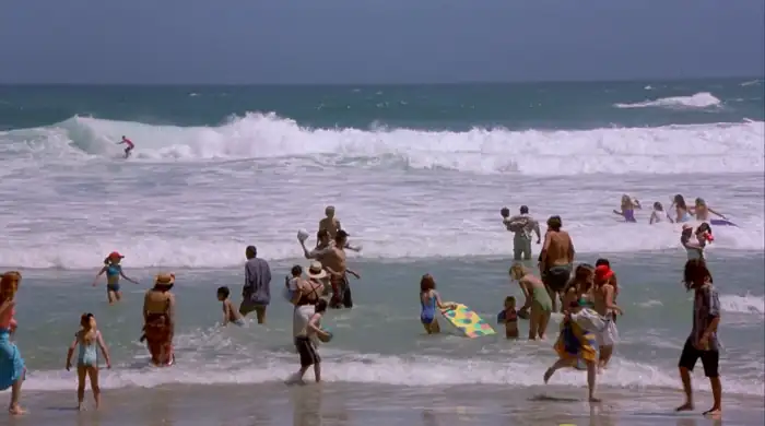 download shark attack 2 (2000) dual audio {hindi-english} 480p [350mb] | 720p [1gb] | 1080p [1.6gb]