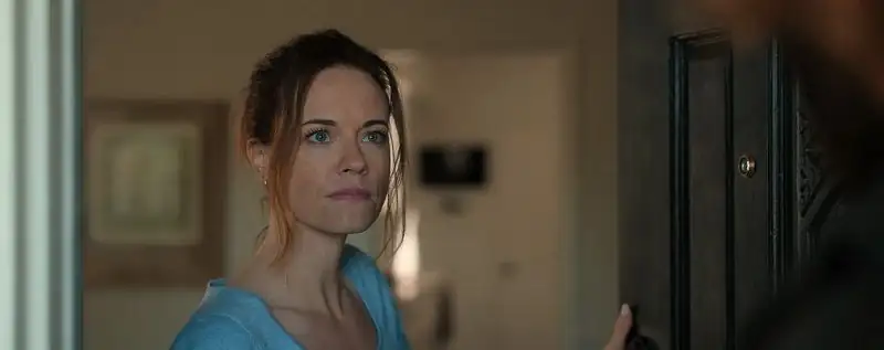 download the lincoln lawyer - netflix original (season 2 - 3) complete dual audio {hindi-english} 720p | 1080p web-dl