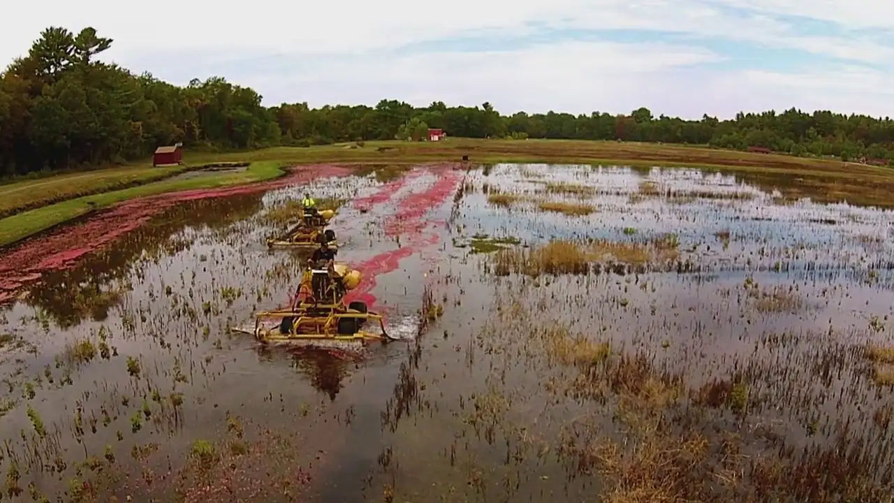 screenshot 921c70 netflix sesame street 2025