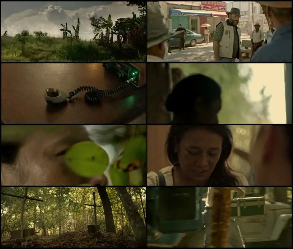 screenshot 924a65 pureza 2022