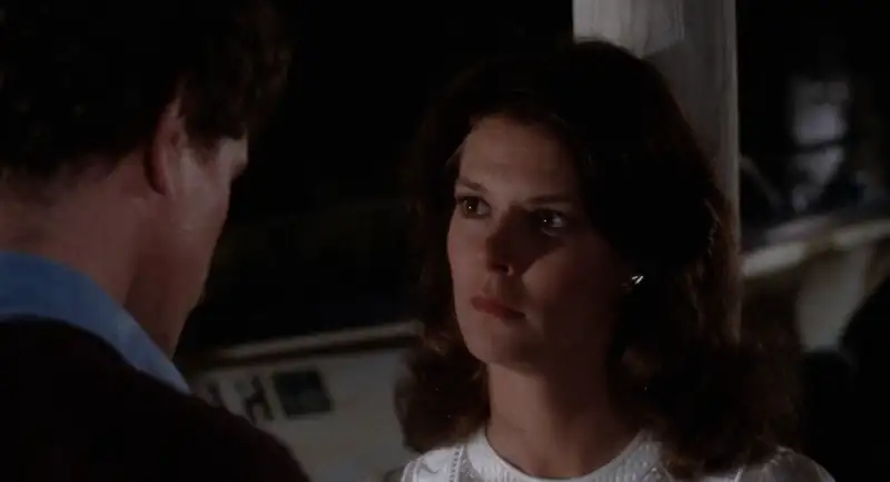 download the big chill (1983) dual audio {hindi-english} bluray 480p [500mb] | 720p [1gb] | 1080p [1.8gb]