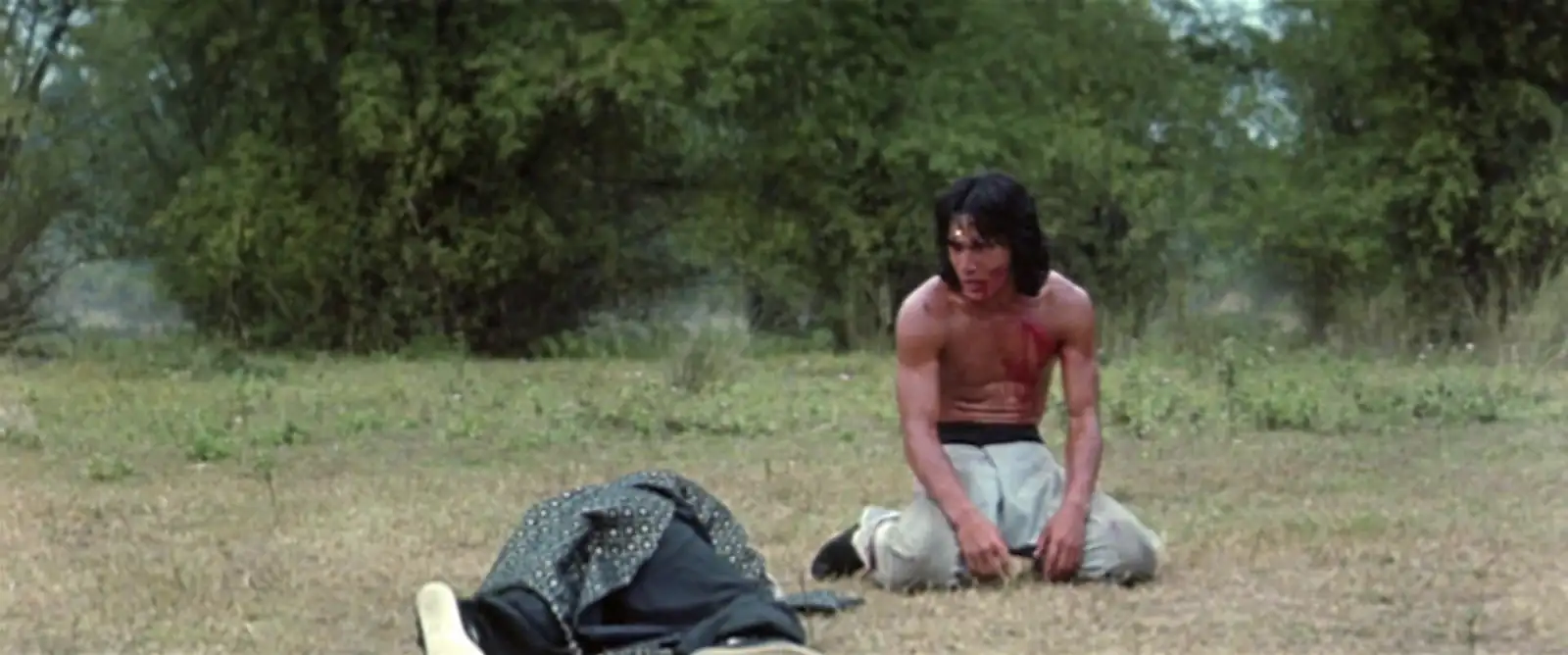 download fearless hyena 2 (1983) dual audio [hindi + chinese] web-dl 480p [300mb] | 720p [900mb] | 1080p [1.8gb]