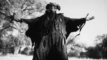 download immortal fist: the legend of wing chun (2017) dual audio {hindi-english} 480p [260mb] | 720p [700mb] | 1080p [1.2gb]