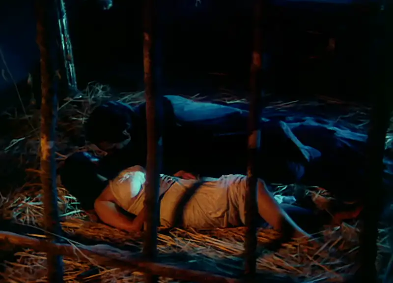 screenshot 9a663d bandh darwaza 1990