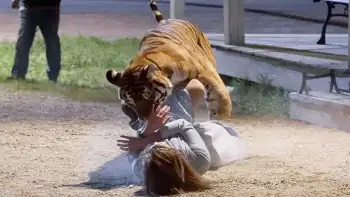 download maneater (2007) web-dl dual audio {hindi-english} 480p [300mb] | 720p [800mb] | 1080p [1.7gb]