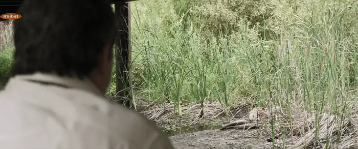 download midnight in the switchgrass (2021) dual audio {hindi-english} 480p [300mb] | 720p [900mb] | 1080p [1.5gb]