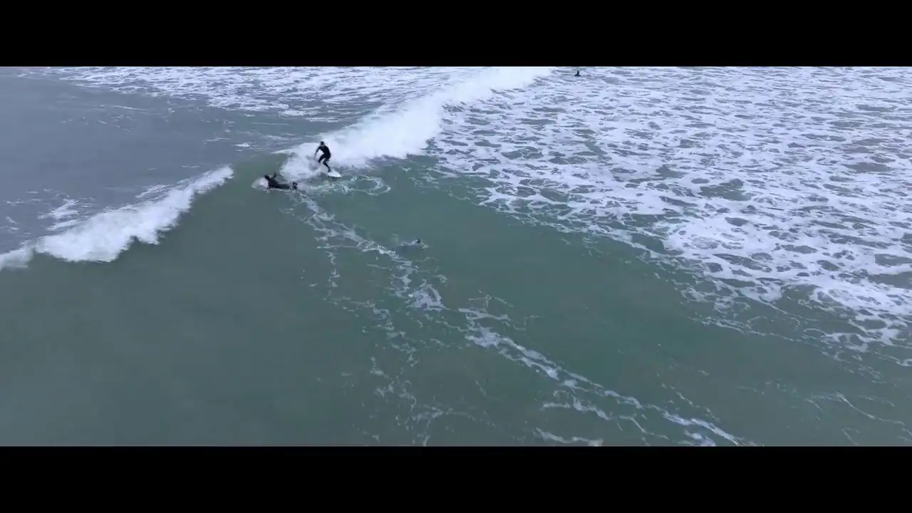 screenshot 9eb6e9 being gordon ramsay 2026