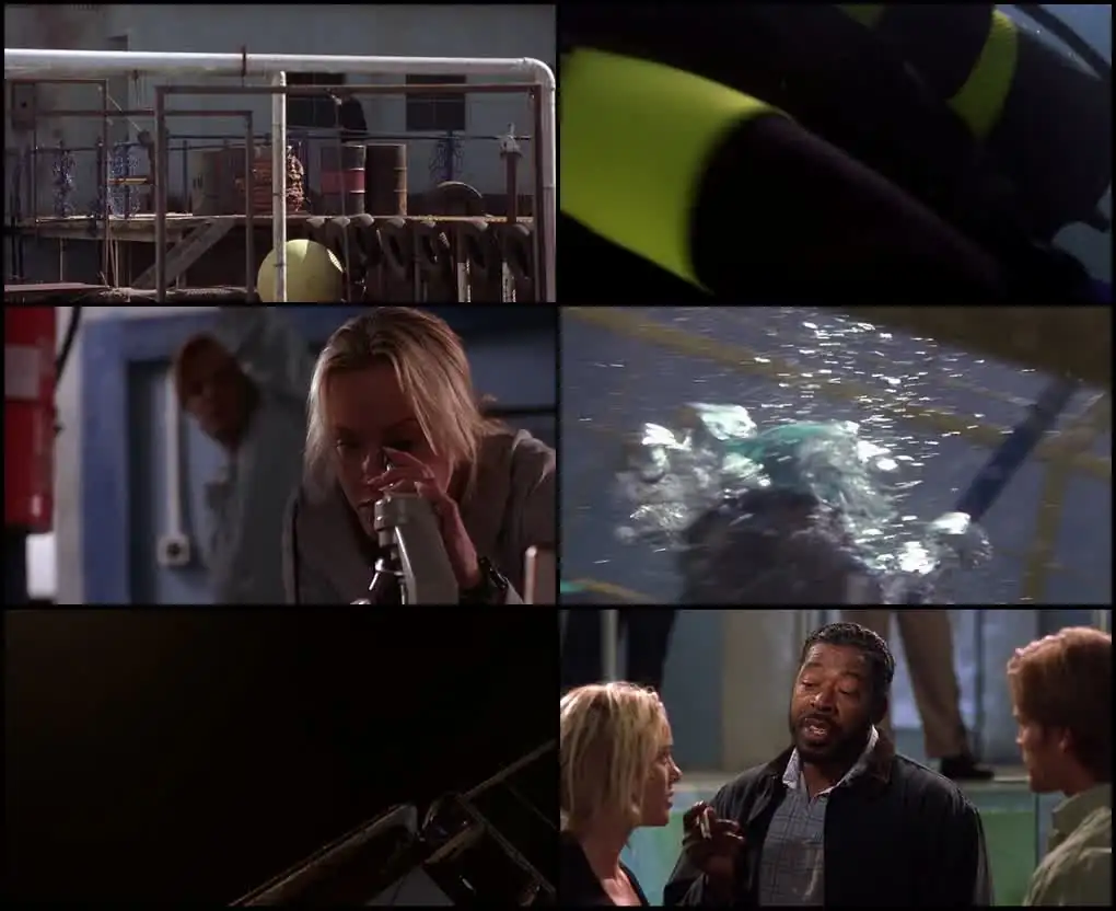 download shark attack (1999) web-dl dual audio {hindi-english} 480p [300mb] | 720p [860mb] | 1080p [2gb]