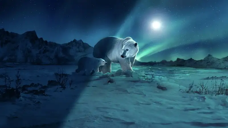 download earth at night in color (season 1 - 2) complete dual-audio {hindi-english} apple tv+ original 1080p | 720p web-dl