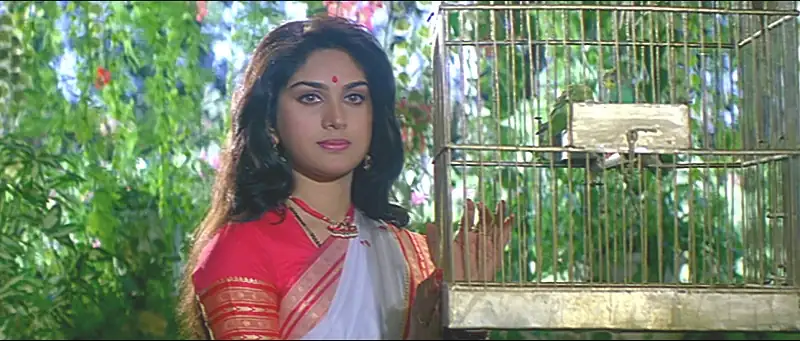 screenshot a1342e damini 1993