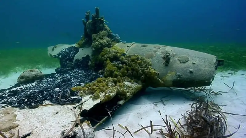 download curiosity (season 1) dual audio [hindi + english] complete web series 480p [150mb] | 720p [450mb]