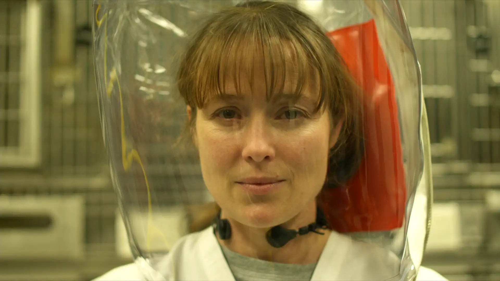 download contagion (2011) dual audio {hindi-english} 480p [350mb] | 720p [900mb] | 1080p [3.5gb]