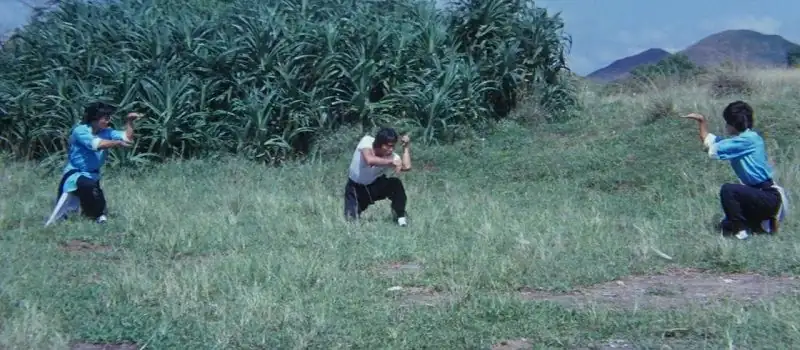 download snake in the monkey's shadow (1979) dual audio {hindi-english} 480p [320mb] | 720p [1.1gb] bluray