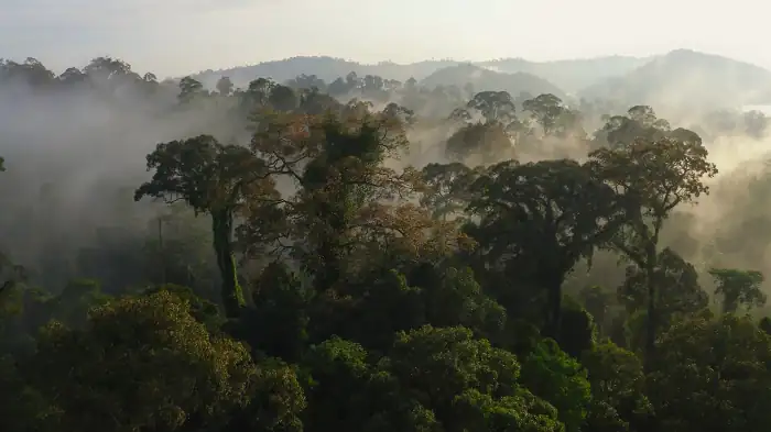 download the green planet (2022) season 1 [complete] english web series 720p [300mb] web-dl