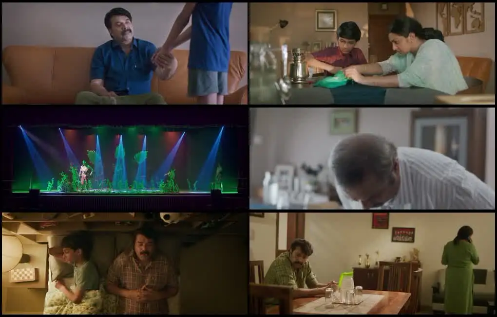 screenshot a91e34 puzhu 2022