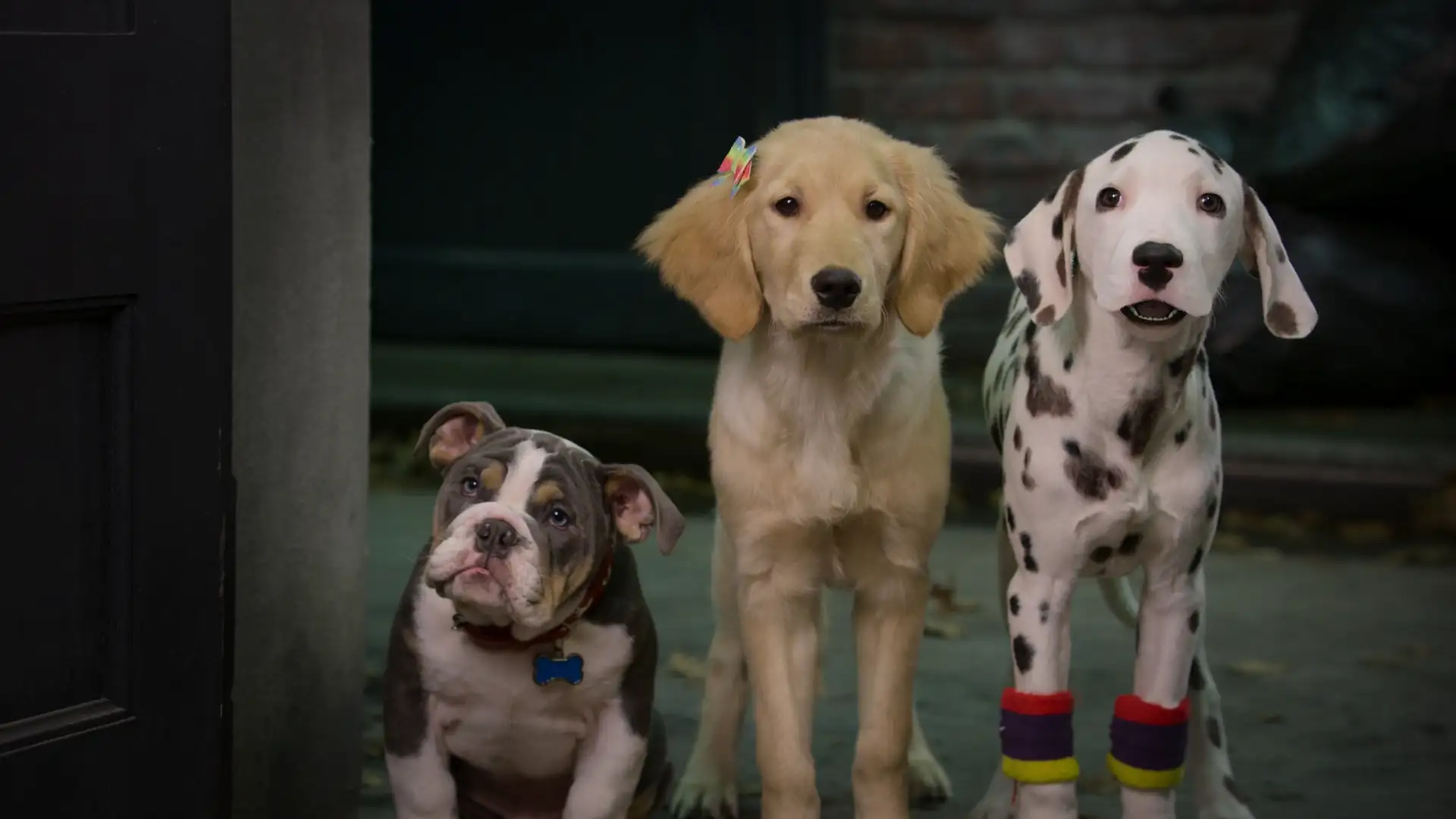 download phantom pups (2022) season 1 dual audio {hindi-english} 720p 10bit [220mb] web-dl