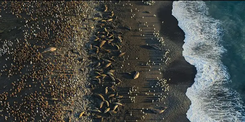 download our oceans (2024) season 1 netflix original - dual audio {hindi-english} web series 1080p & 720p web-dl