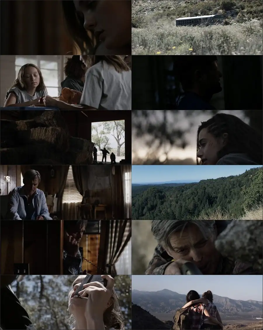 download the archer (2016) dual audio [hindi-english] 480p [300mb] | 720p [950mb] | 1080p [1.8gb]