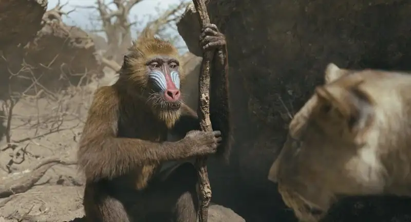 download mufasa: the lion king (2024) bluray dual audio {hindi-english} jiohotstar 480p | 720p | 1080p & 2160p 4k