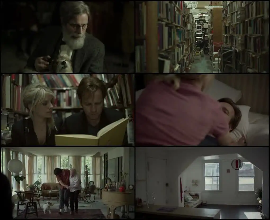 download beginners (2010) dual audio {hindi-english} bluray 480p [350mb] | 720p [750mb] | 1080p [2gb]