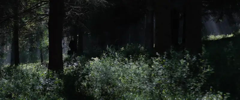 download in the earth - in the eⱯrth (2021) dual audio {hindi-english} 480p [300mb] | 720p [1.2gb] | 1080p [2gb]