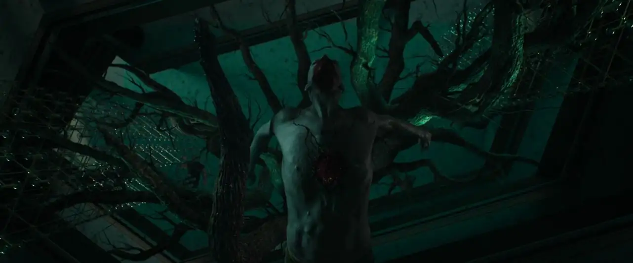 screenshot b736cc do not enter 2026