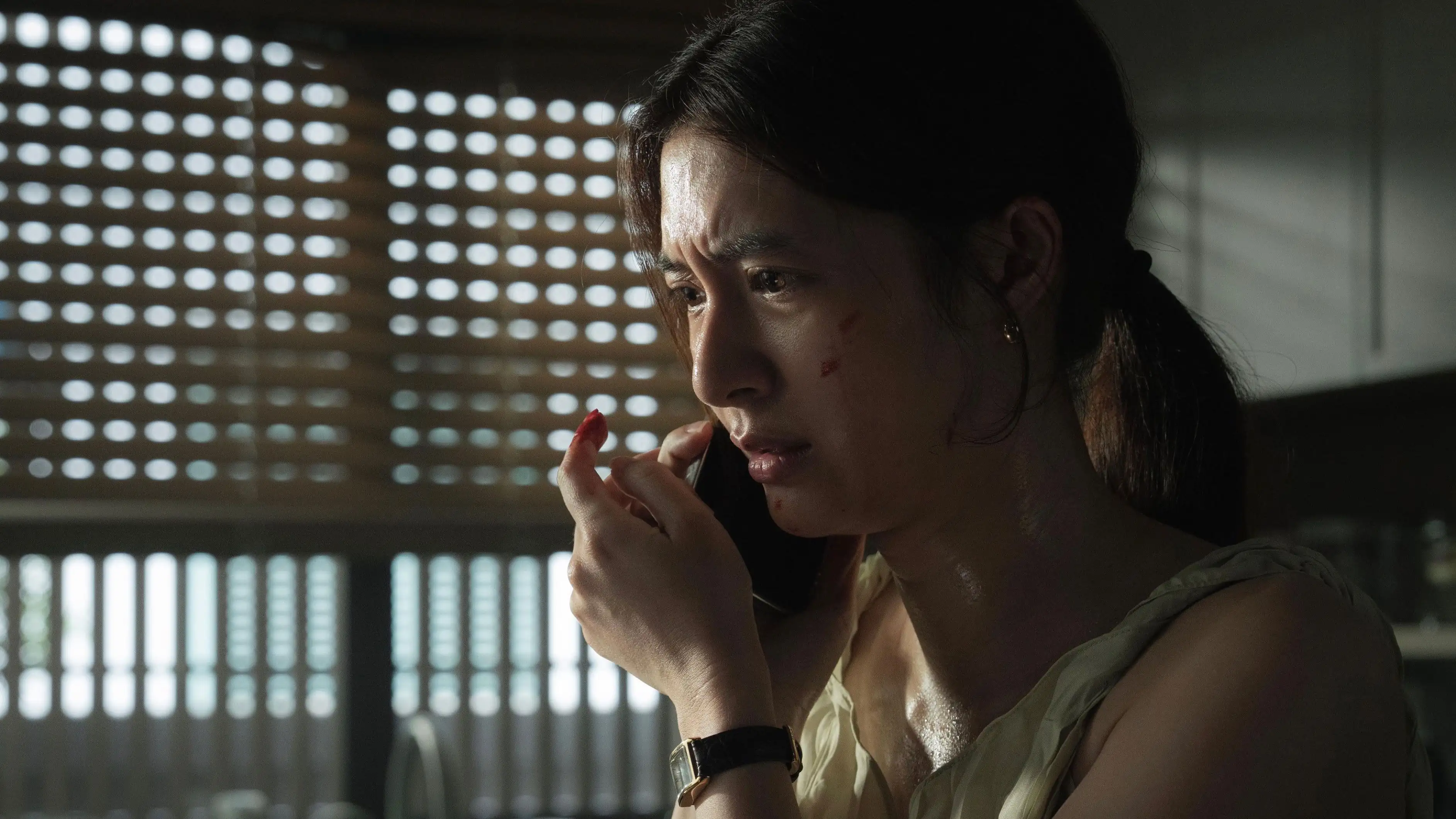 screenshot b775d3 the red line 2026