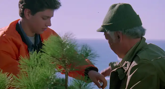 download the next karate kid (1994) dual audio {hindi-english} 480p [400mb] | 720p [1gb] | 1080p [3.7gb]