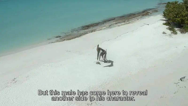 download prehistoric planet (season 1-2) complete appletv+ original english web series 720p | 1080p web-dl