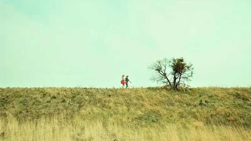 download woman in the maze (2023) {english with subtitles} full movie web-dl 480p [300mb] | 720p [800mb] | 1080p [2gb]